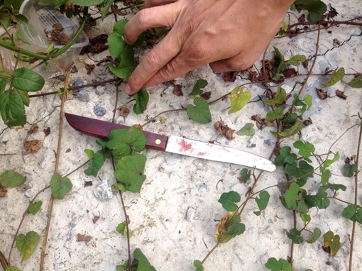 Đã tìm thấy con dao tên cướp dùng cắt cổ tài xế taxi trên đường Võ Chí Công