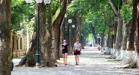 Những khoảng xanh mát "quý như vàng" giữa chảo lửa Hà Nội
