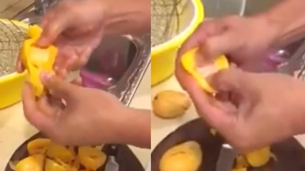 Thực hư xoài Trung Quốc giả có hạt bằng nilon