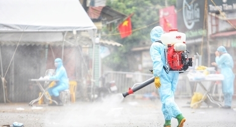 Nguy cơ lây nhiễm từ hoa cung cấp cho các nhà tang lễ và hoa bán lẻ 