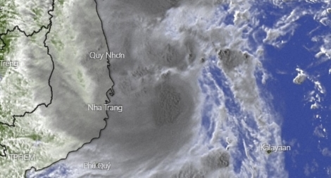  Đồng loạt bắn pháo hiệu dọc tuyến biển khu vực chịu ảnh hưởng của bão số 12