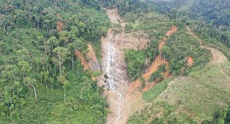 Một ngày bỏ 3 đề xuất xin chuyển đổi đất rừng