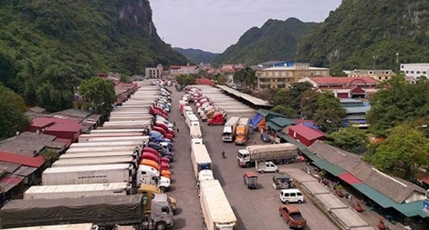 Đề nghị cấp hộ chiếu vaccine cho lái xe chở hàng qua cửa khẩu