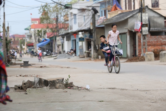 Làm rõ vụ 70 cây xanh bị chặt "oan uổng" khi dẹp vỉa hè