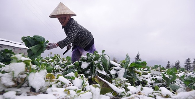 Năm 2019 sẽ là năm nóng nhất trong lịch sử toàn cầu