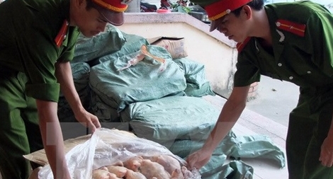 Ôtô khách chở 450kg thịt gà đông lạnh bốc mùi hôi thối