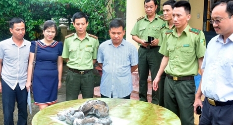 Bàn giao 5 con rái cá cho Bảo tàng thiên nhiên Việt Nam