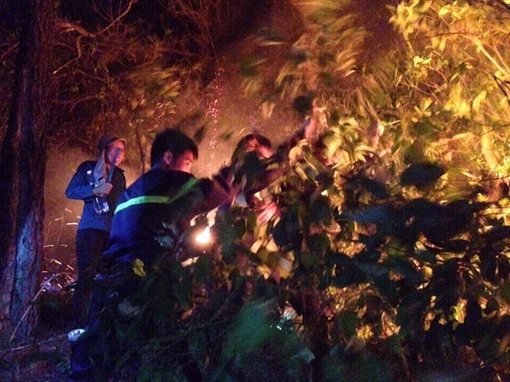 Thanh Hoá: Một ngày xảy ra hai vụ cháy rừng