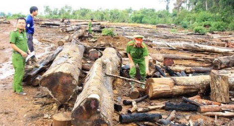 Lào hoan nghênh Việt Nam đóng cửa rừng Tây Nguyên