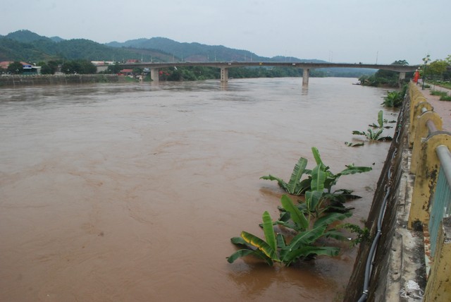 Mưa lớn, lũ lên nhanh trên sông Hồng -  sông Thái Bình 