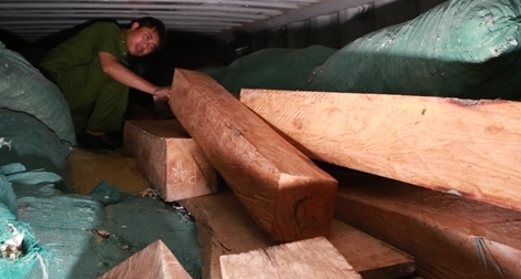 Thông báo tìm chủ sở hữu