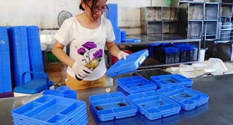 Phát hiện cơ sở sản xuất cơm hộp bẩn cho hàng trăm công nhân
