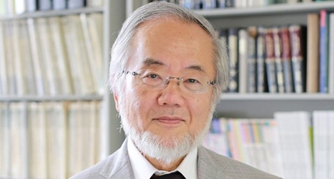 Giải Nobel Y học 2016 thuộc về nhà khoa học người Nhật Bản