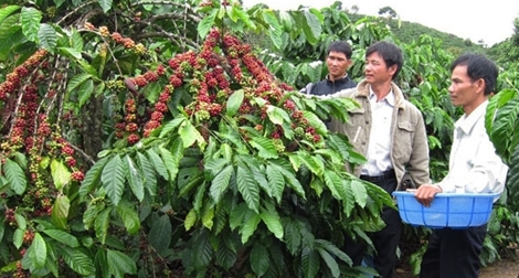 Quy hoạch chồng quy hoạch, lãnh đạo tỉnh “vừa ký vừa run”