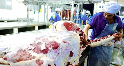 Thịt bò châu Âu đang "đổ bộ" vào thị trường Việt Nam