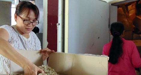 Hiệu quả từ mô hình kho đông lạnh hải sản ở một xã biển