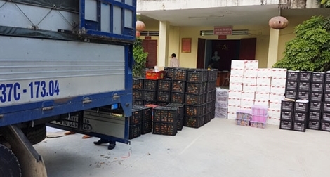 2,5 tấn quả nhập lậu từ Trung Quốc tuồn vào miền Trung