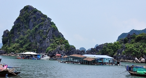 Chấm dứt nuôi thủy sản trong vịnh Hạ Long