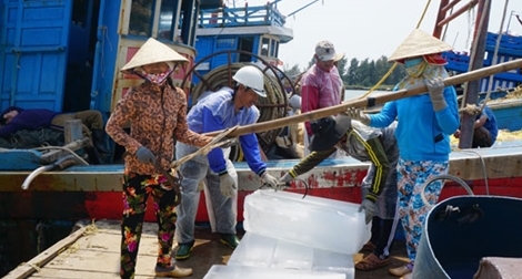 "Bóng hồng" phu khuân