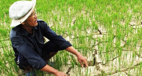 Mùa bão 2017 sẽ đến sớm hơn trung bình nhiều năm