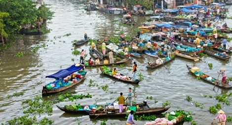 Mối nguy ô nhiễm đe dọa sông Cửu Long