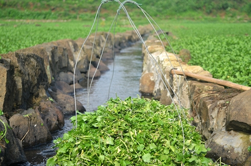 Bí mật giếng cổ Quảng Trị nhiều tầng văn hóa lưng chừng núi