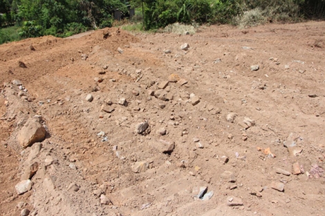 Cần làm rõ thông tin người dân phản ánh, lăng mộ vợ vua Tự Đức bị san ủi