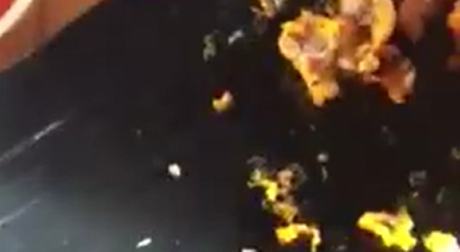 Phạt quán đồ nướng có dòi bò trong đĩa thức ăn