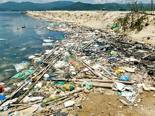 Các nhà khoa học quan ngại ô nhiễm môi trường ở vịnh Xuân Đài