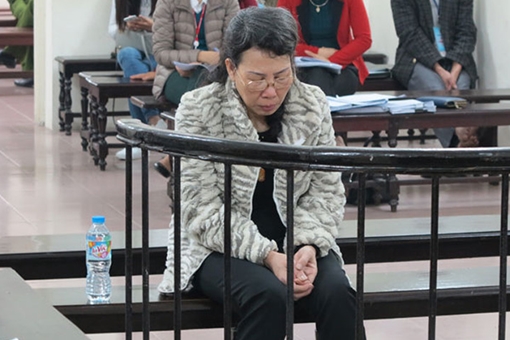 Nữ đại gia “đạo diễn” vụ lừa gần chục tỷ đồng rồi... đổ bệnh tâm thần