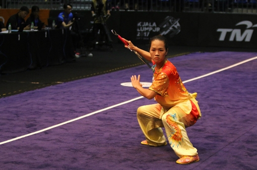Wushu trượt vàng, Việt Nam tụt hạng
