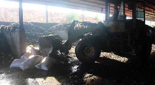 Tiêu hủy 4 tấn hến không rõ nguồn gốc