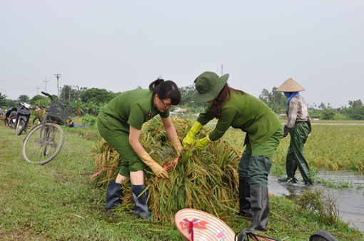 Công an Ninh Bình giúp dân sau mưa lũ