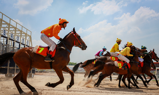 Hồi sinh "làng chiến mã"