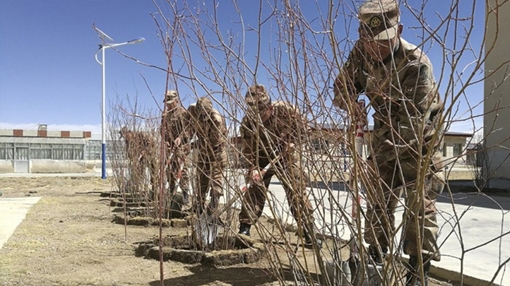 Thành phố không cây Trung Quốc chi 10 tỷ USD để có màu xanh