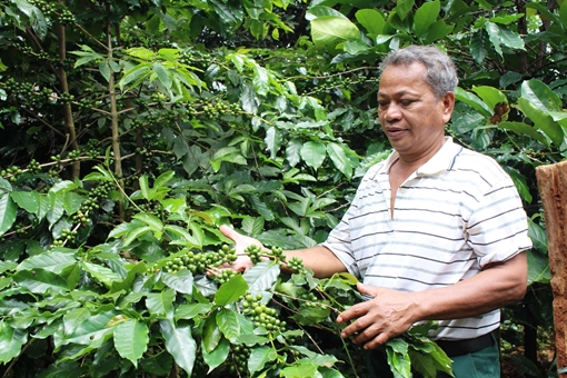Cựu chiến binh Vân Kiều hết lòng vì dân bản