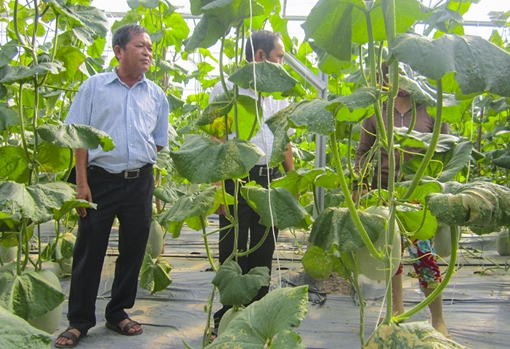 Để sản phẩm VietGAP gần hơn với người tiêu dùng