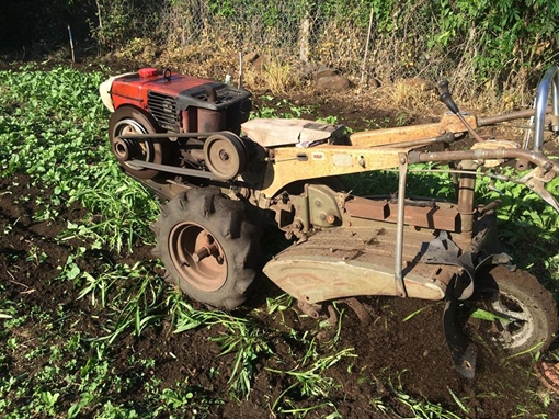 Nhổ cả vườn rau vì mâu thuẫn rồi về nhà nằm ngủ