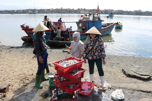 Những làng chài giàu lên từ biển