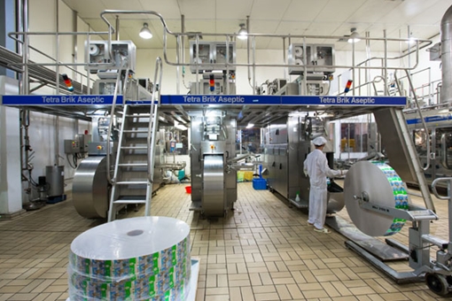 Sữa Việt đến với thị trường khó tính