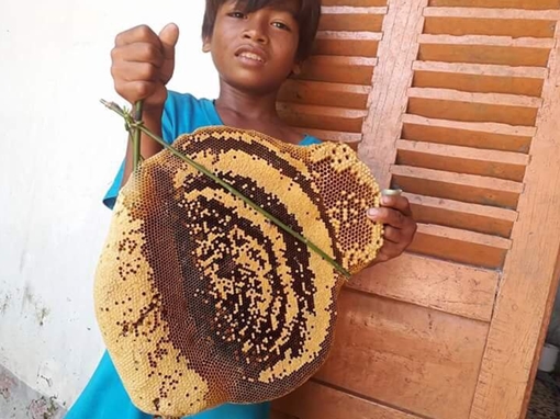 Cuộc mưu sinh của "thợ săn" nhí