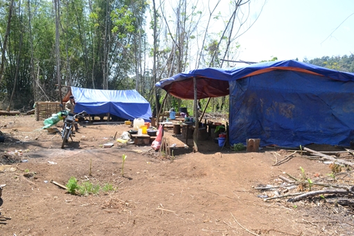 Tây Nguyên vẫn “nóng” chuyện phá rừng