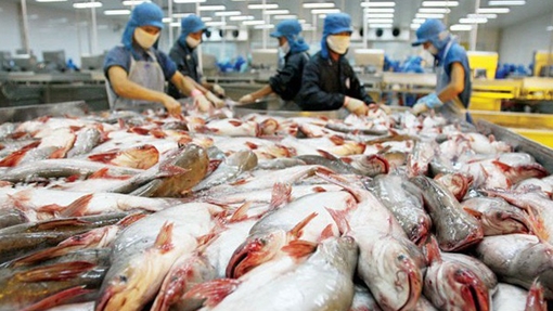 Hoa Kỳ áp thuế chống bán phá giá cá tra Việt thiếu khách quan