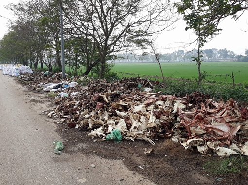 Kinh hoàng con đường xương cốt trâu, bò