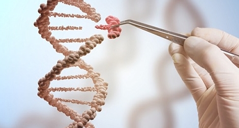 Có thể chữa được tới 15.000 bệnh nhờ chỉnh sửa gen