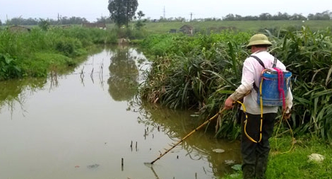 Tử vong do dùng kích điện đánh cá