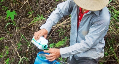 Nỗi ám ảnh mang tên thuốc diệt cỏ