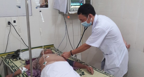 Ra vườn cắt cỏ, cụ bà bị cả bầy ong vò vẽ tấn công