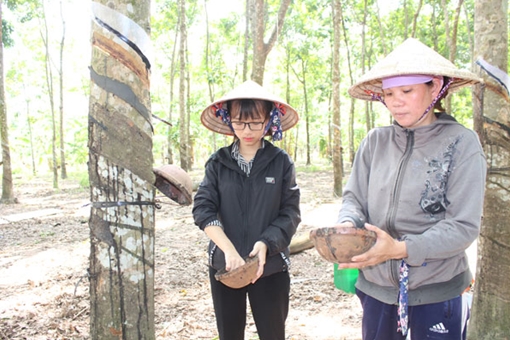 Nữ sinh nghèo vùng biên nuôi giấc mơ làm bác sĩ