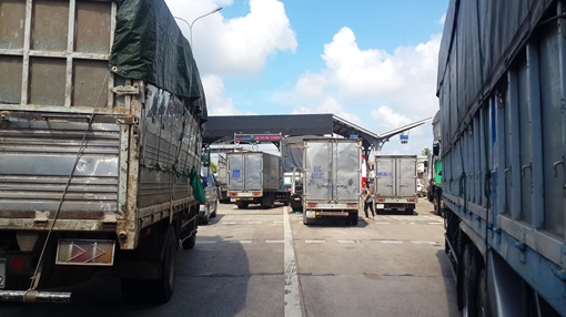 Rắc rối từ quy định xe tải dưới 3,5 tấn buộc phải gắn phù hiệu